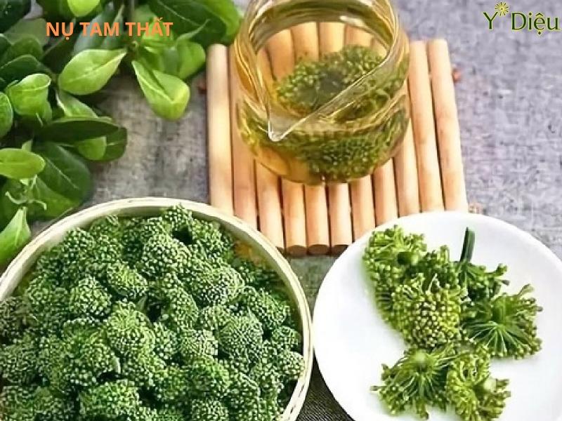 Nụ Hoa Tam Thất Và Cách Sử Dụng Nụ Hoa Tam Thất